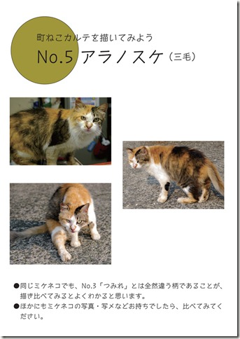 ねこ見本-5 ねこ見本-5